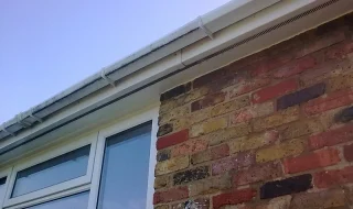 Fascia cleaning service